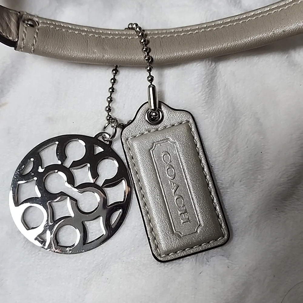 Coach metallic taupe